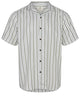 AKLEO SS STRIPE SHIRT - Olivine